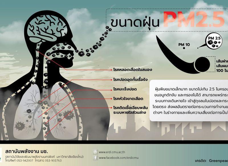 ฝุ่น PM 2.5 ก่อให้เกิดโรคอะไรบ้าง